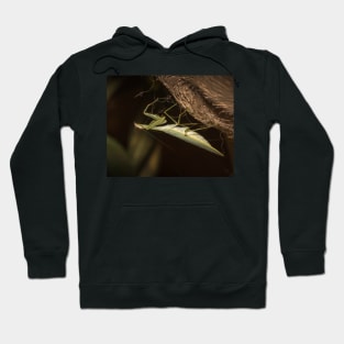 The Mantis Hoodie